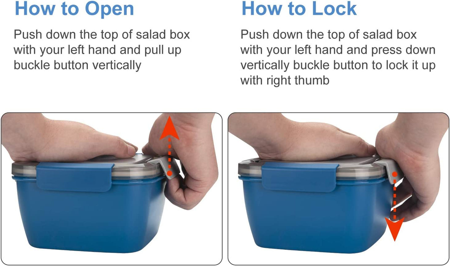 Lunch Container with 3 Compartments and Dressing Container